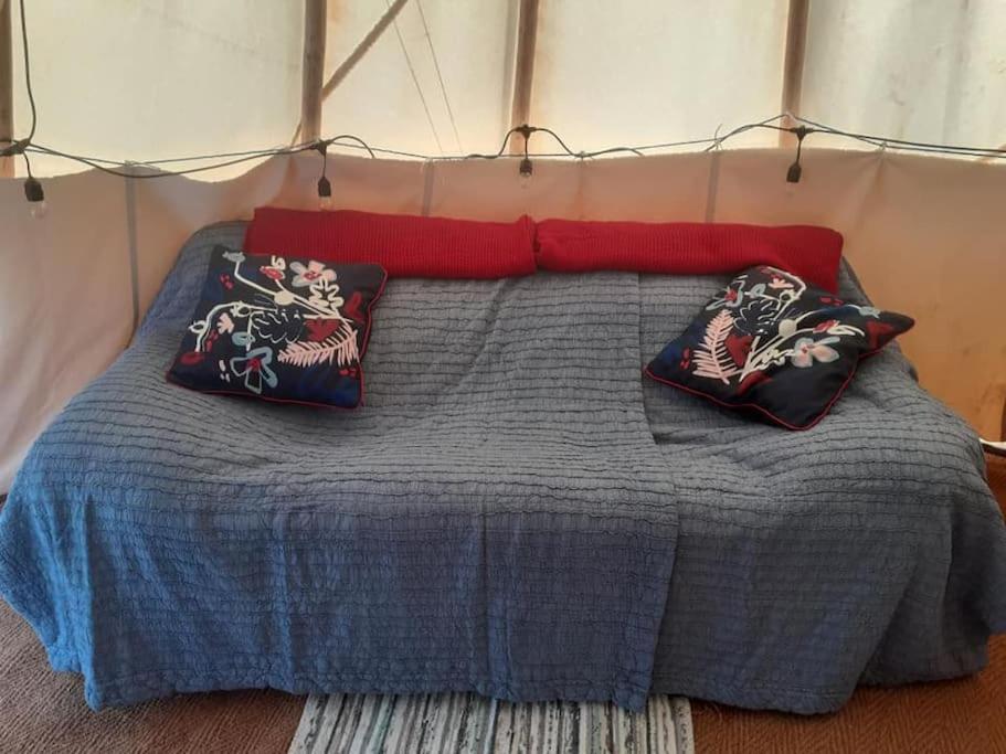 Hawk's View Tipi At Higher Hawksland Farm Luxury tent Saint Issey